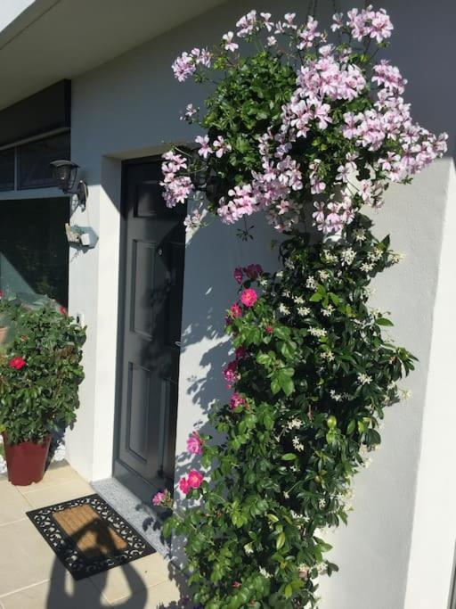 Single Family House With View In Carona Hébergement de vacances Lugano