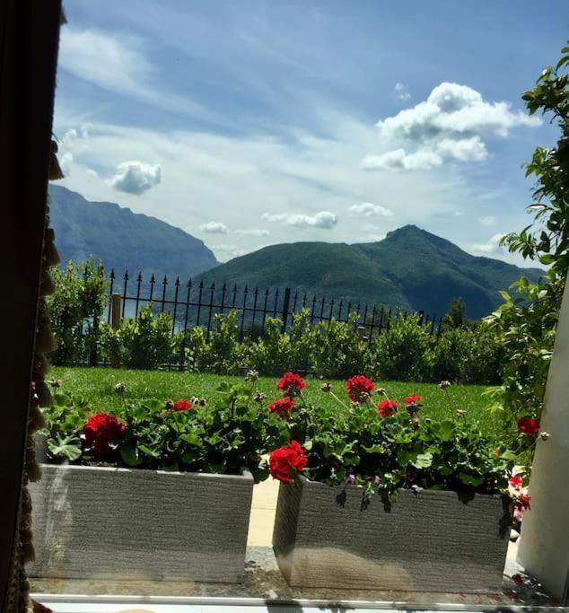 Single Family House With View In Carona *