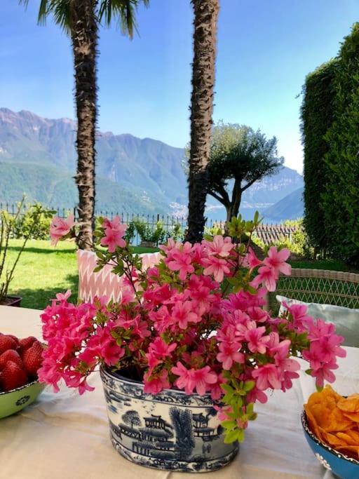 Single Family House With View In Carona